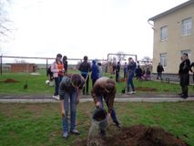 Акция "Посади дерево"